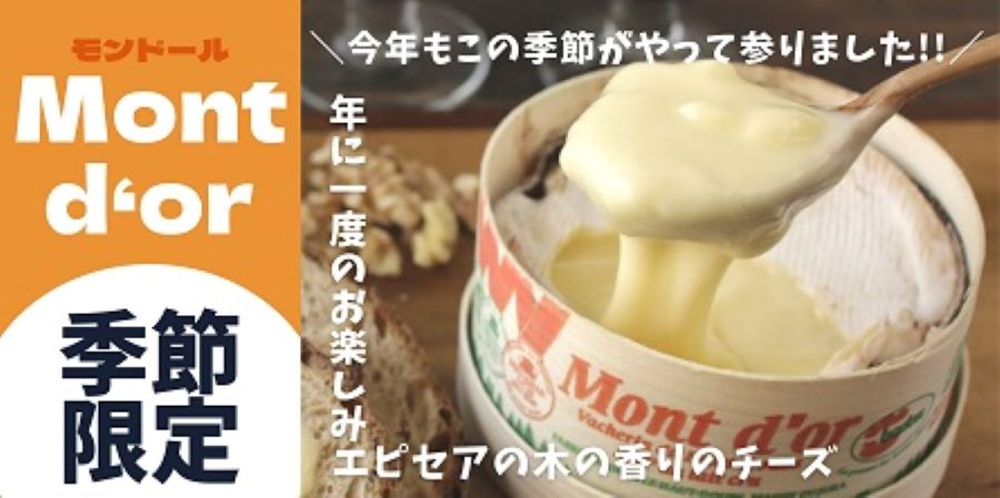 モンドール　大　トップ
