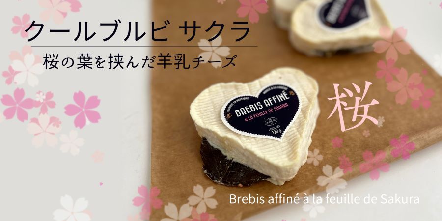 クールブルビサクラ